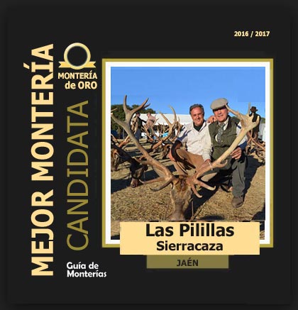 candidata20162017LasPilillasSierracaza