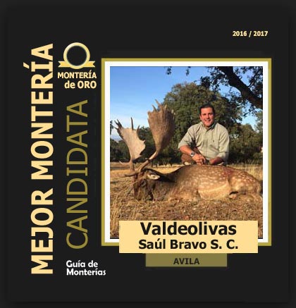 candidata20162017ValdeolivasSaulBravo