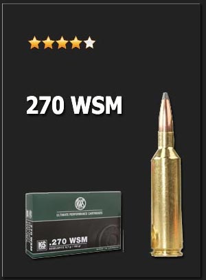 270WSM