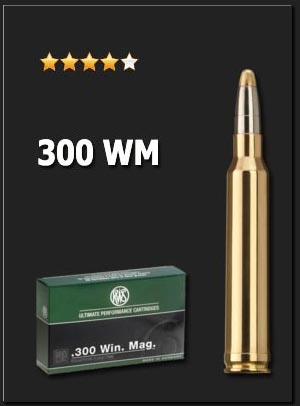 300