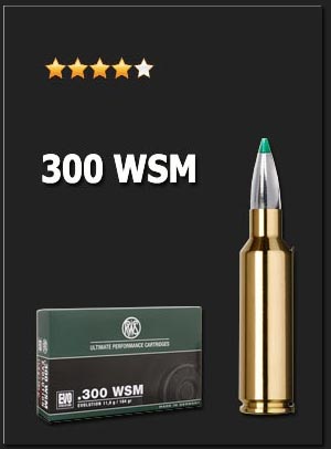 300WSM