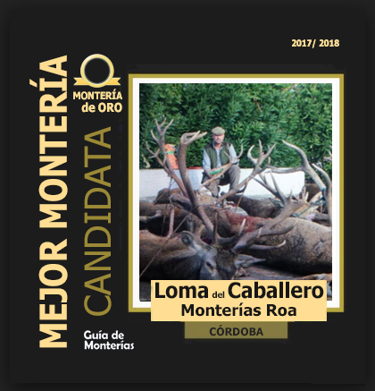 MonteriaOroCerrada2018LomadelCaballero