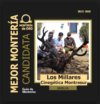 MonteriaOroCerrada2018LosMillares