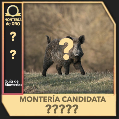 CandidataInterrogacionJB