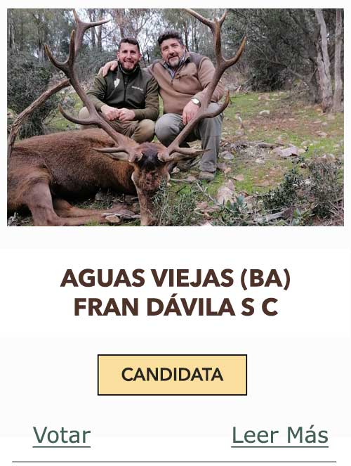 CandidatasPueblaEstellez Chaves