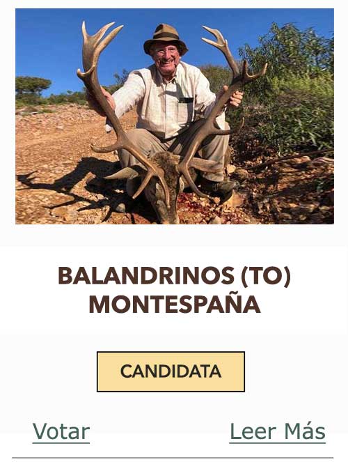 CandidatasPueblaEstellez Chaves