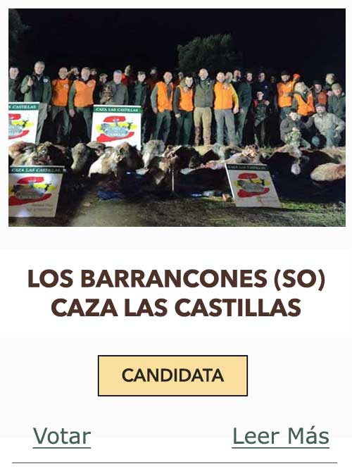 CandidatasPueblaEstellez Chaves