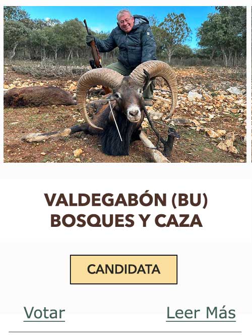 CandidatasPueblaEstellez Chaves