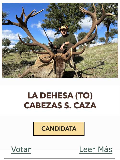 CandidatasPueblaEstellez Chaves