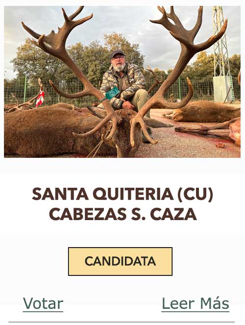 CandidatasPueblaEstellez Chaves