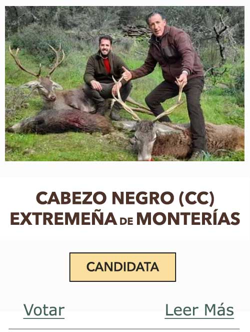 CandidatasPueblaEstellez Chaves