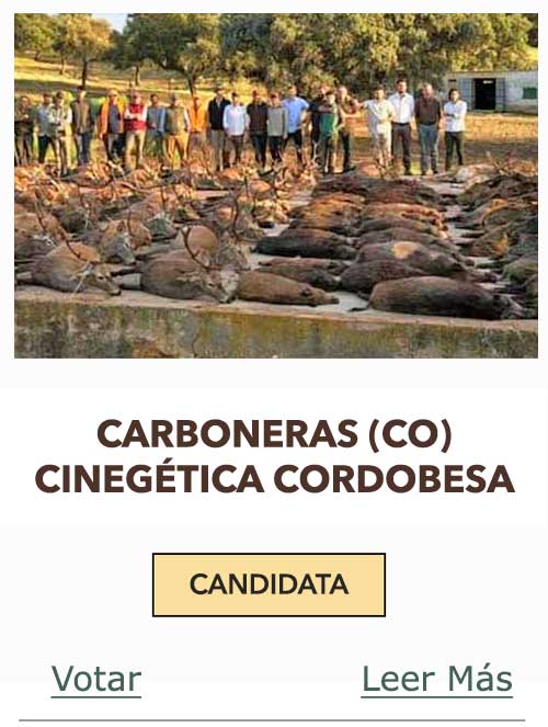 CandidatasPueblaEstellez Chaves