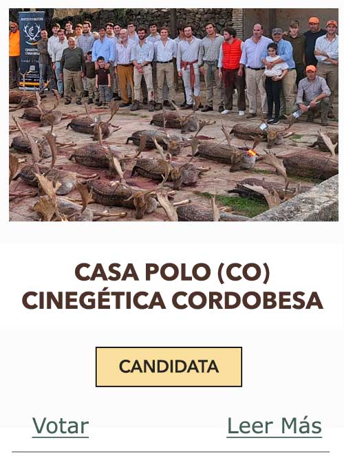 CandidatasPueblaEstellez Chaves