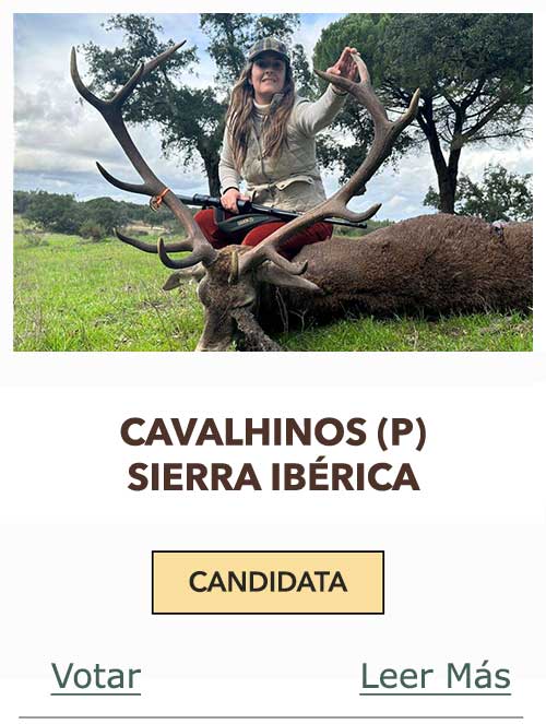 CandidatasPueblaEstellez Chaves
