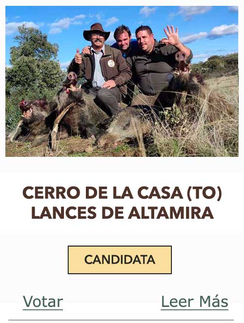 CandidatasPueblaEstellez Chaves