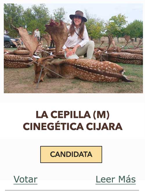 CandidatasPueblaEstellez Chaves