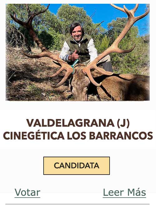 CandidatasPueblaEstellez Chaves