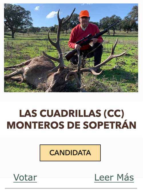 CandidatasPueblaEstellez Chaves