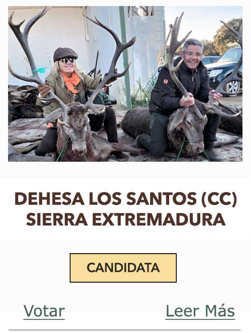 CandidatasPueblaEstellez Chaves