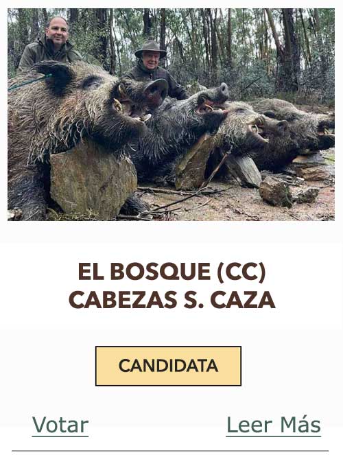 CandidatasPueblaEstellez Chaves