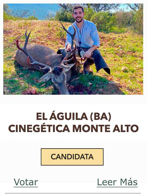 CandidatasPueblaEstellez Chaves