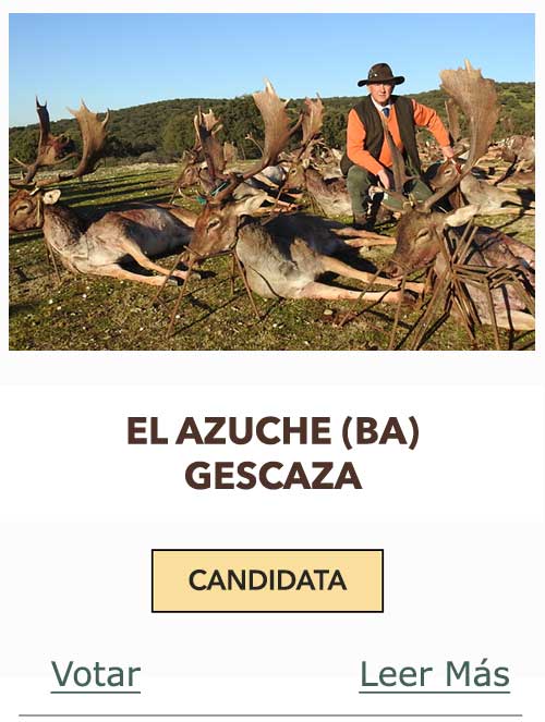 CandidatasPueblaEstellez Chaves