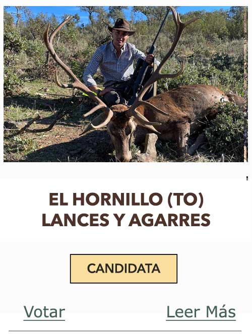 CandidatasPueblaEstellez Chaves