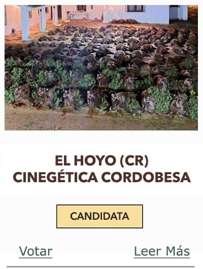 CandidatasPueblaEstellez Chaves