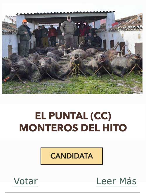 CandidatasPueblaEstellez Chaves