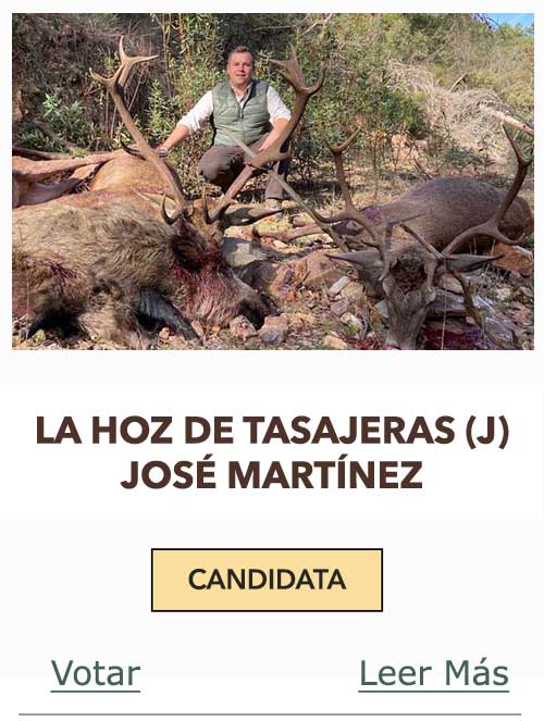 CandidatasPueblaEstellez Chaves