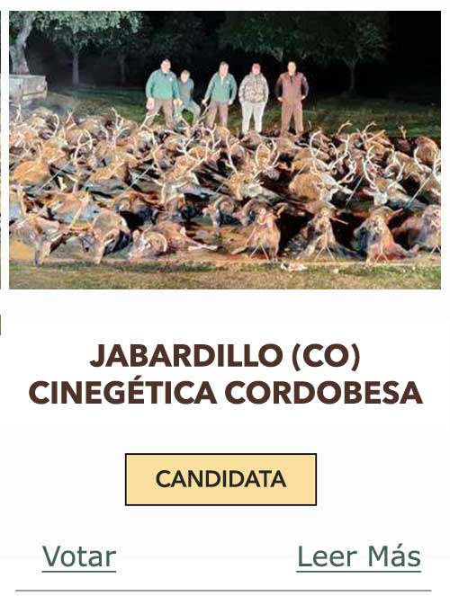 CandidatasPueblaEstellez Chaves