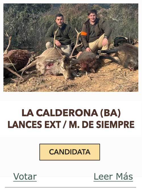 CandidatasPueblaEstellez Chaves