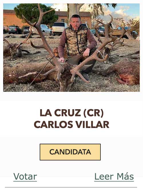 CandidatasPueblaEstellez Chaves