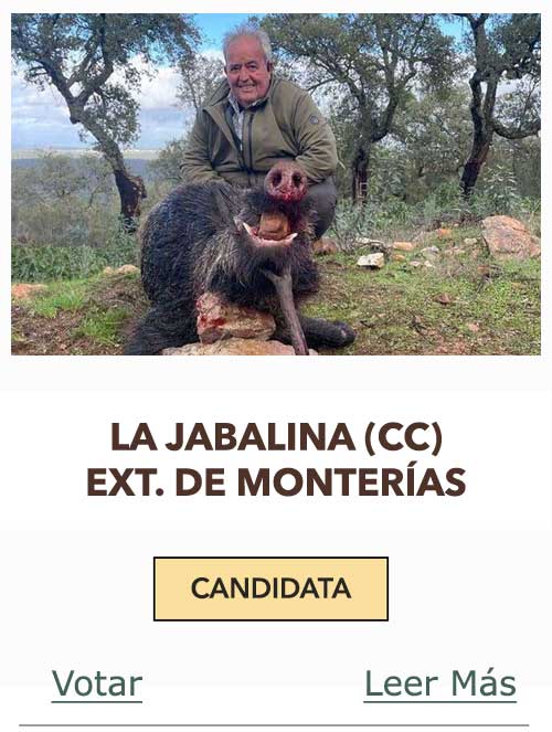 CandidatasPueblaEstellez Chaves