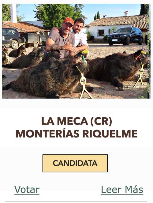 CandidatasPueblaEstellez Chaves