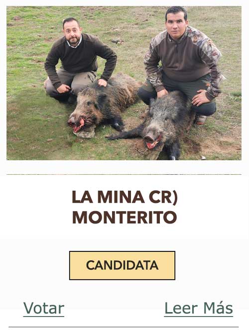 CandidatasPueblaEstellez Chaves