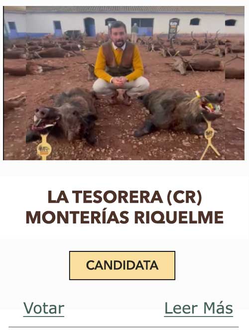 CandidatasPueblaEstellez Chaves