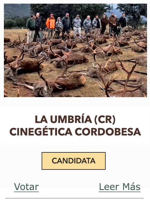 CandidatasPueblaEstellez Chaves