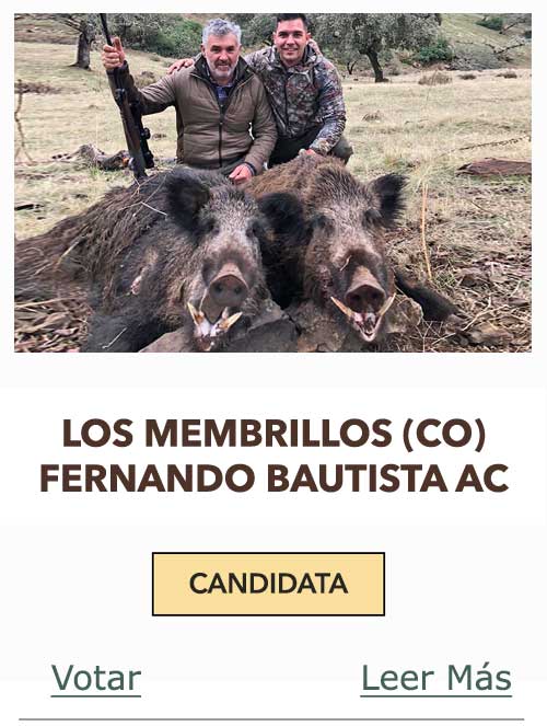 CandidatasPueblaEstellez Chaves