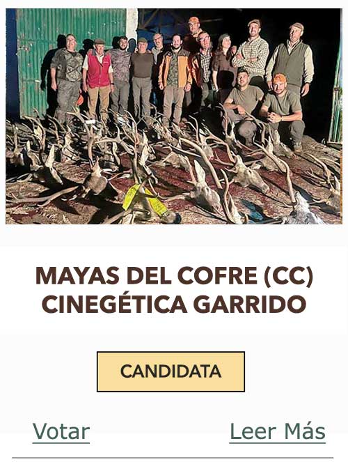 CandidatasPueblaEstellez Chaves