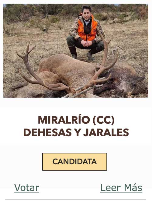 CandidatasPueblaEstellez Chaves