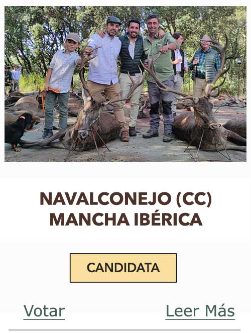 CandidatasPueblaEstellez Chaves