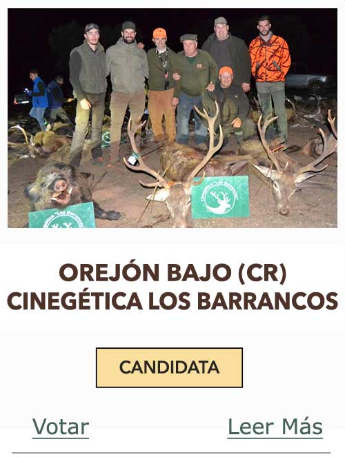 CandidatasPueblaEstellez Chaves