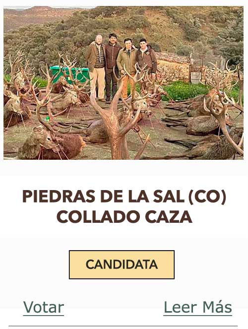 CandidatasPueblaEstellez Chaves