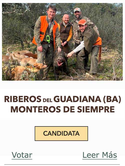 CandidatasPueblaEstellez Chaves