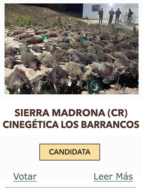CandidatasPueblaEstellez Chaves