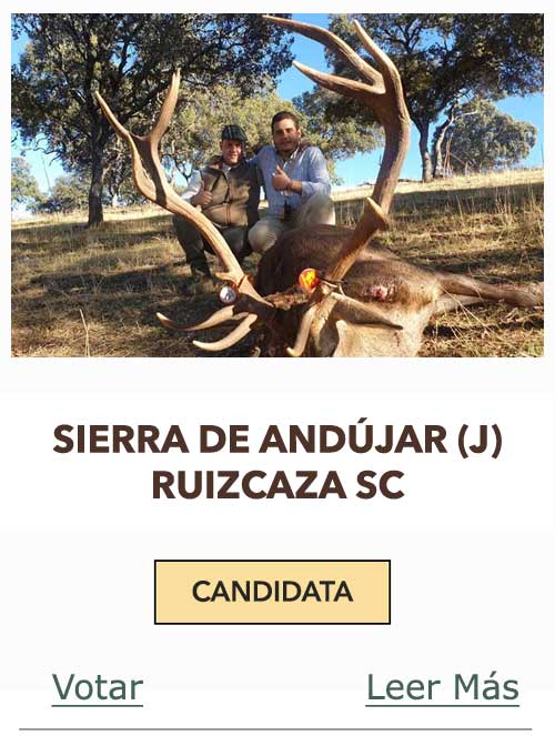 CandidatasPueblaEstellez Chaves
