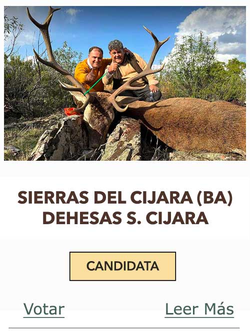 CandidatasPueblaEstellez Chaves