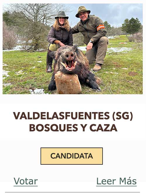 CandidatasPueblaEstellez Chaves