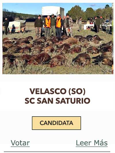 CandidatasPueblaEstellez Chaves